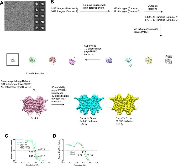 Figure 3—figure supplement 2.