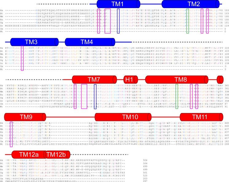 Figure 2—figure supplement 3.