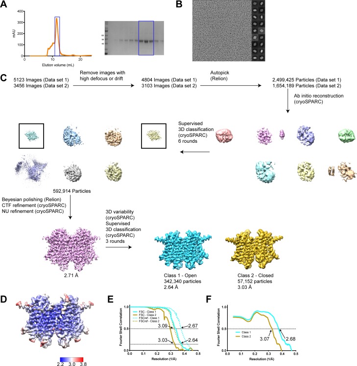 Figure 2—figure supplement 1.