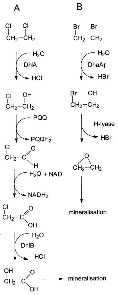 FIG. 6