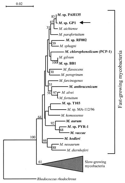 FIG. 1