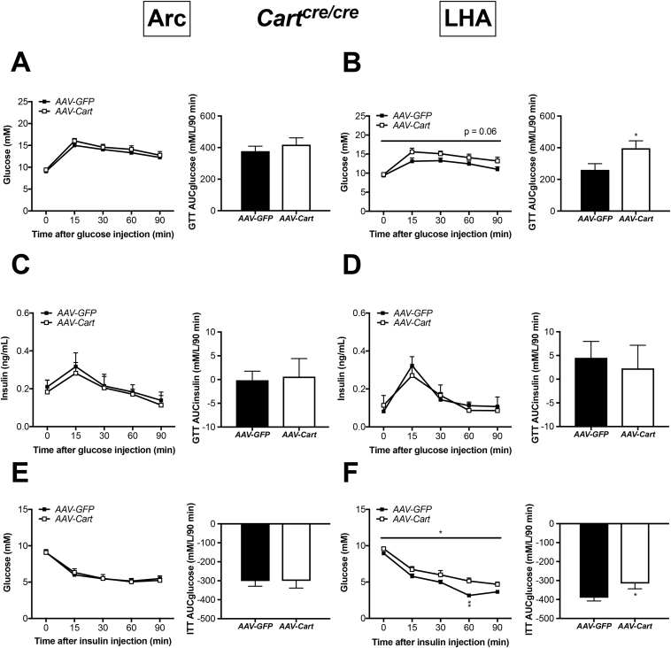 Figure 7