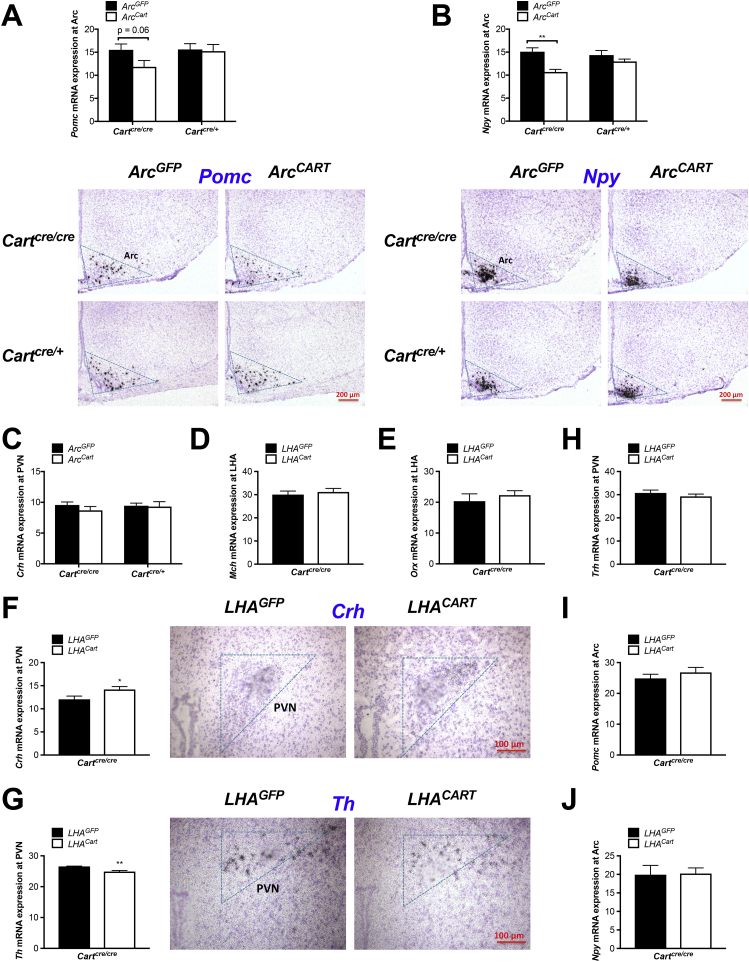 Figure 6