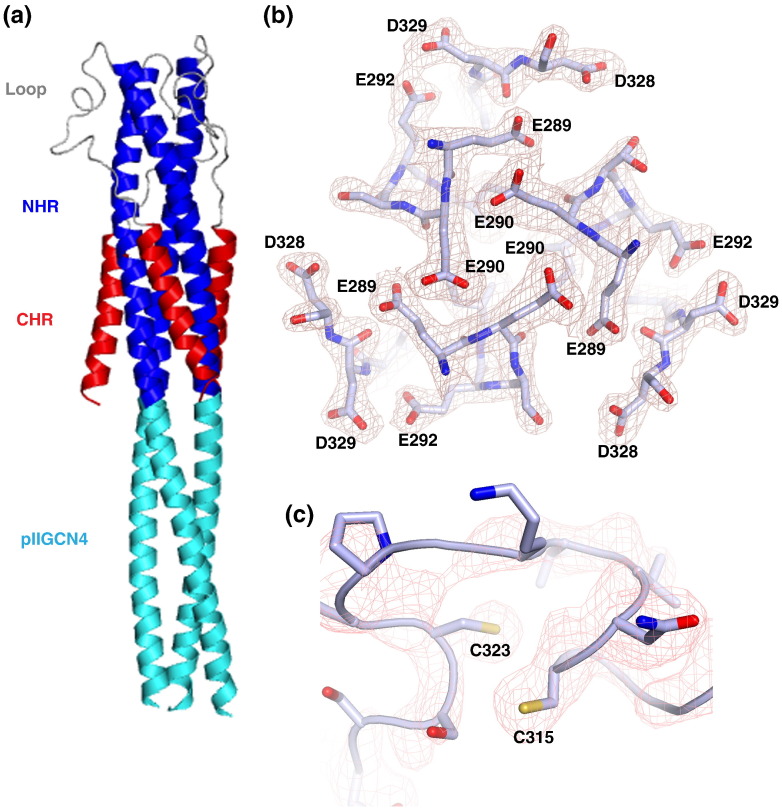 Fig. 6