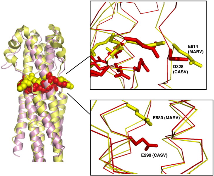 Fig. 8