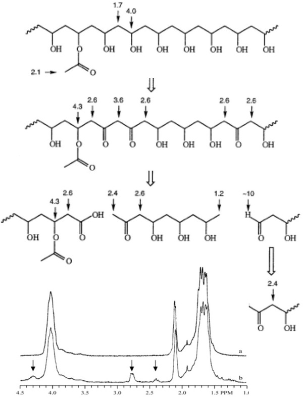 Scheme 3