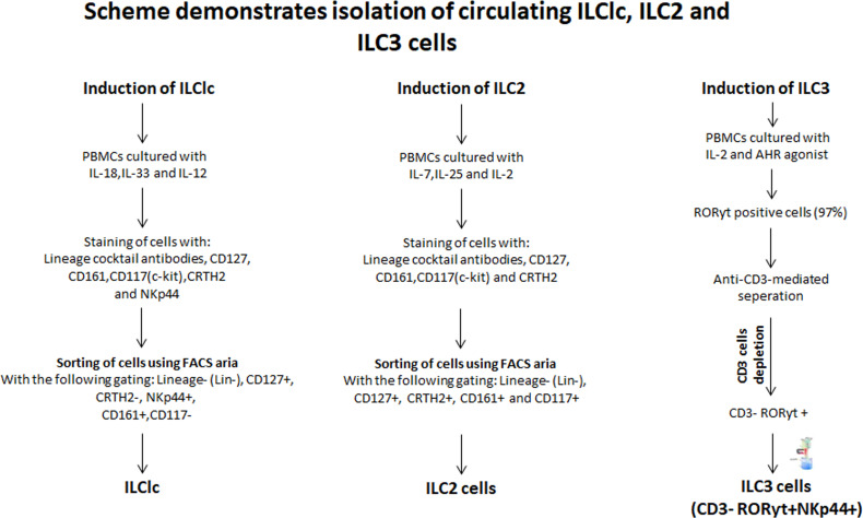 Figure 2—figure supplement 2.