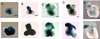 Fig 3.
