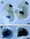 Fig 4.