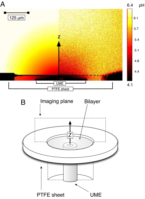 Fig. 2.