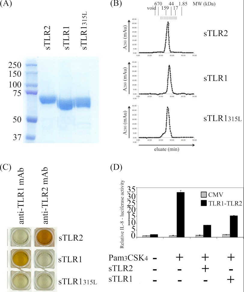 FIGURE 1.