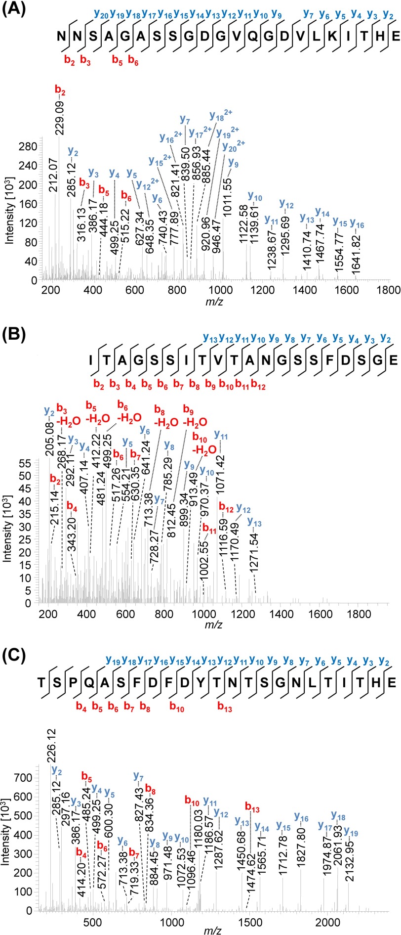 FIGURE 6.