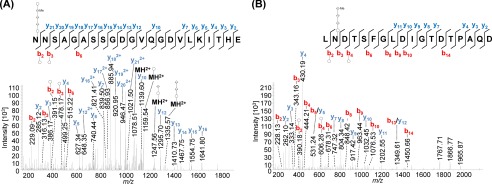 FIGURE 4.