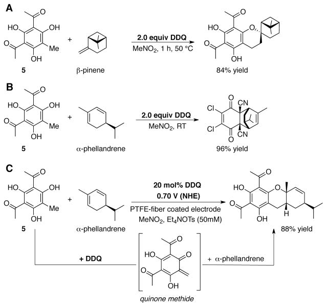 Scheme 15