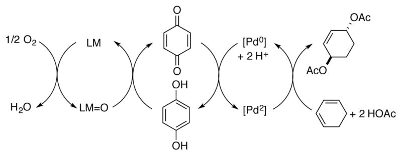 Scheme 2