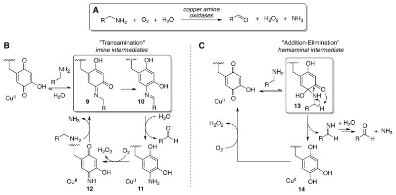 Scheme 26