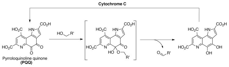 Scheme 29