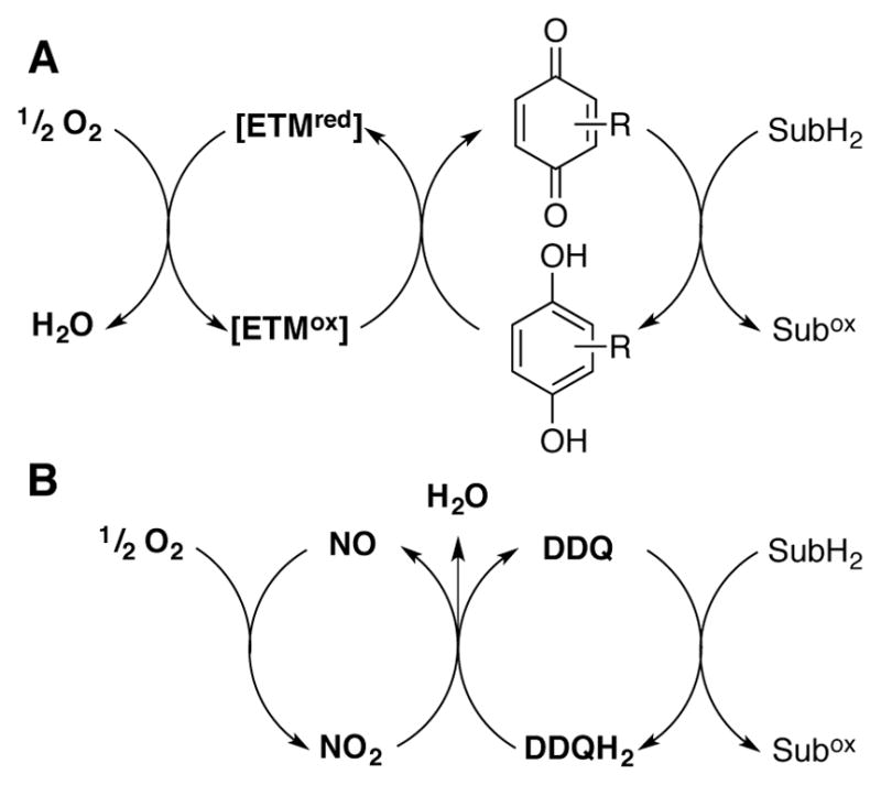 Scheme 17