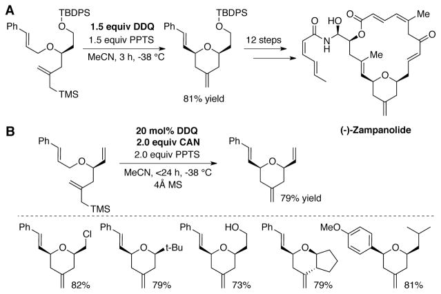 Scheme 11