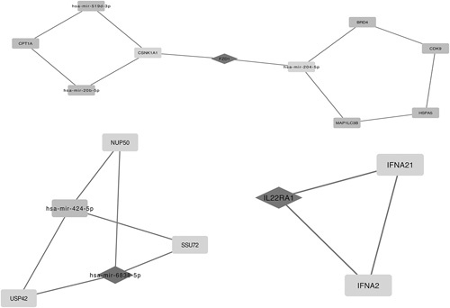 FIGURE 1