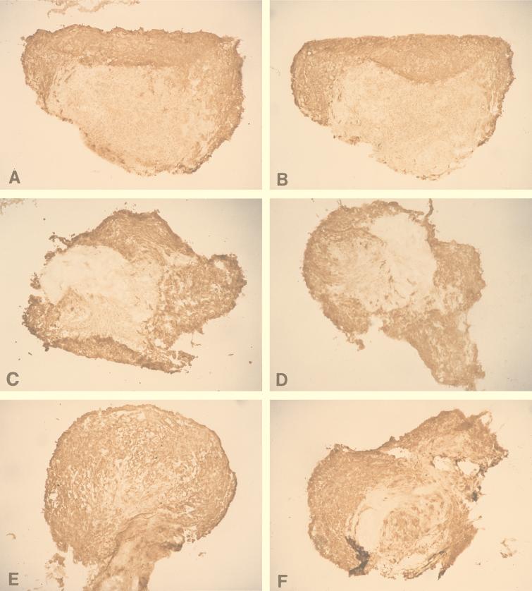 FIG. 6