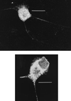 FIG. 7