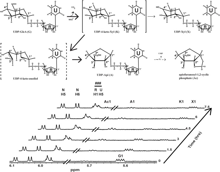 Fig 6