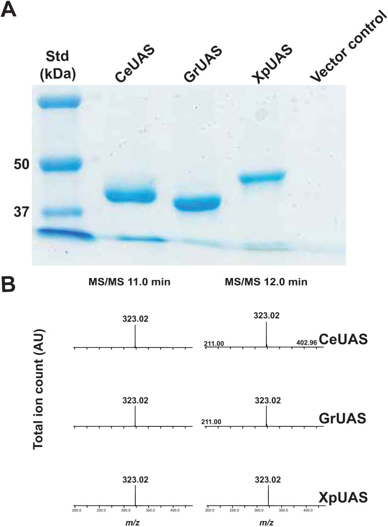 Fig 4