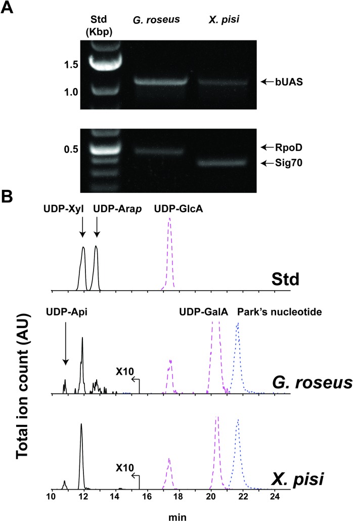 Fig 8