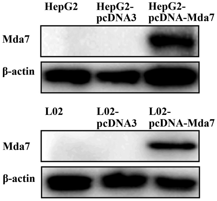 Figure 3.