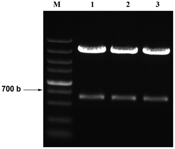 Figure 1.