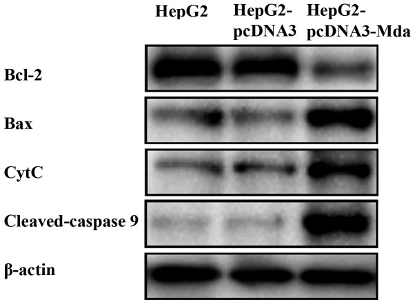 Figure 6.