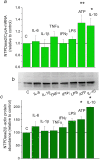 Figure 7.