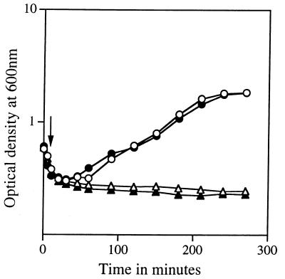 FIG. 8