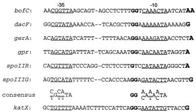 FIG. 9