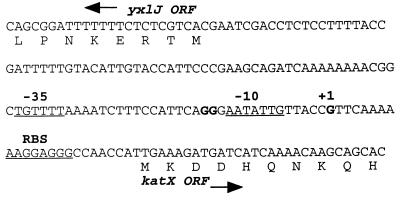 FIG. 5