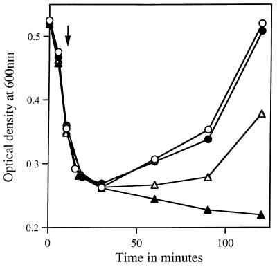 FIG. 7