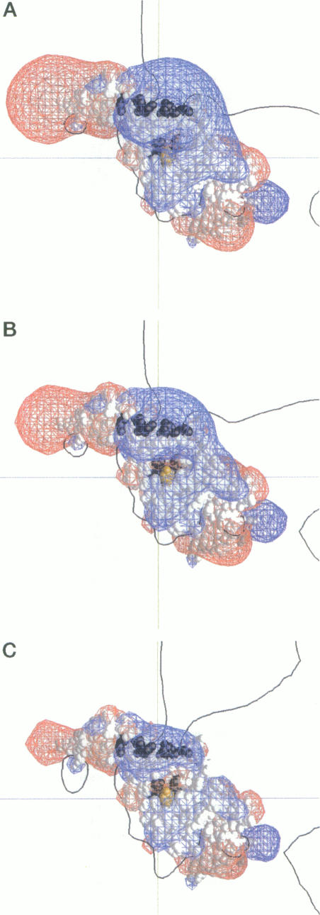 FIGURE 3