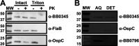 FIG 8
