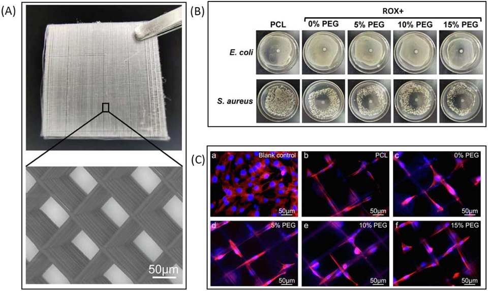 Figure 4: