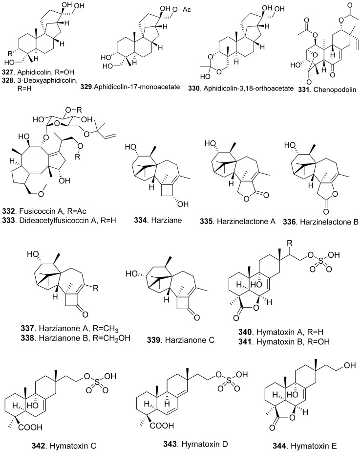 Figure 24