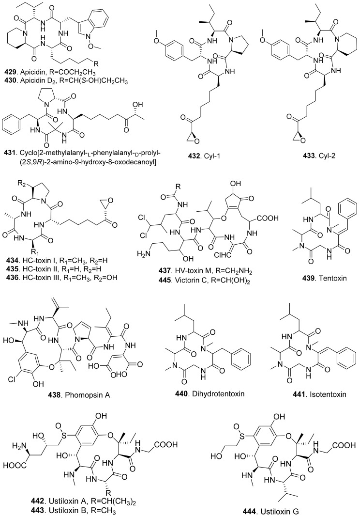 Figure 32