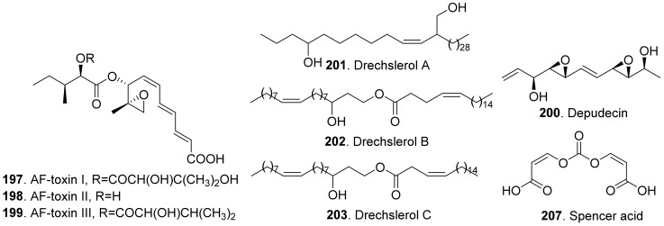 Figure 20