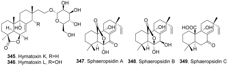 Figure 24