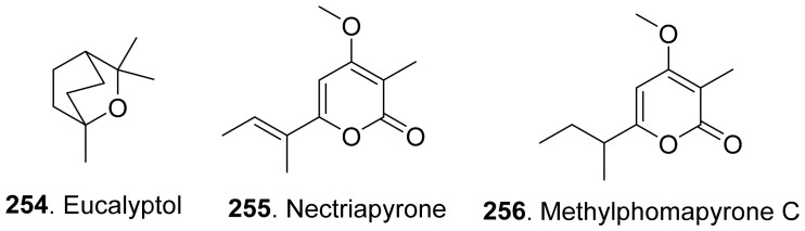 Figure 22