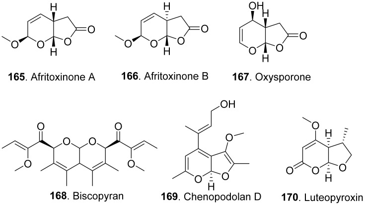 Figure 17