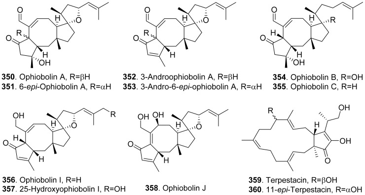 Figure 25