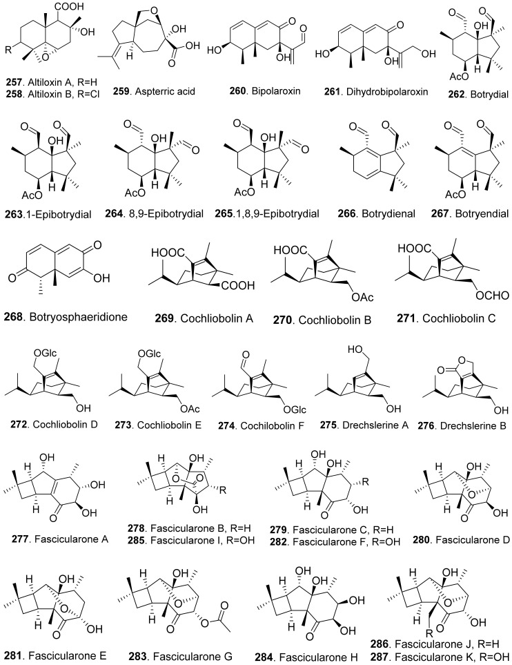 Figure 23