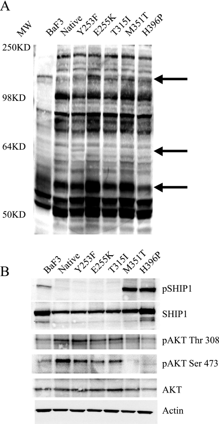 FIG. 5.