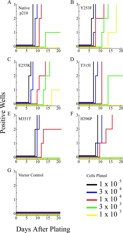 FIG. 2.